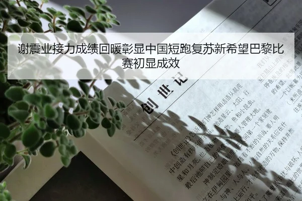 谢震业接力成绩回暖彰显中国短跑复苏新希望巴黎比赛初显成效