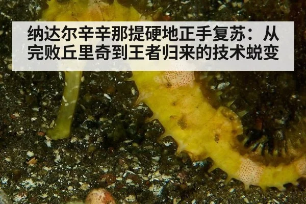 纳达尔辛辛那提硬地正手复苏：从完败丘里奇到王者归来的技术蜕变