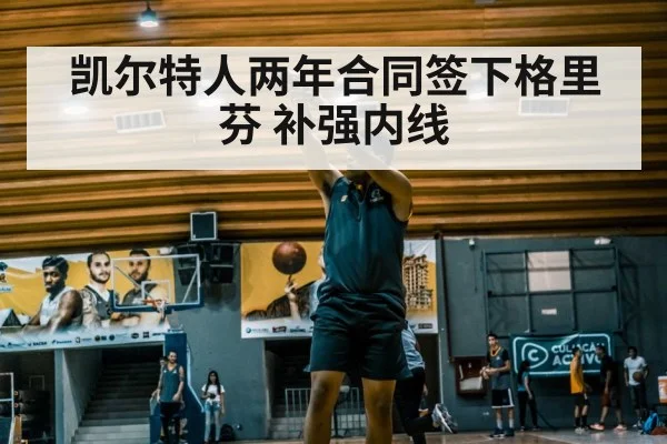 凯尔特人两年合同签下格里芬 补强内线